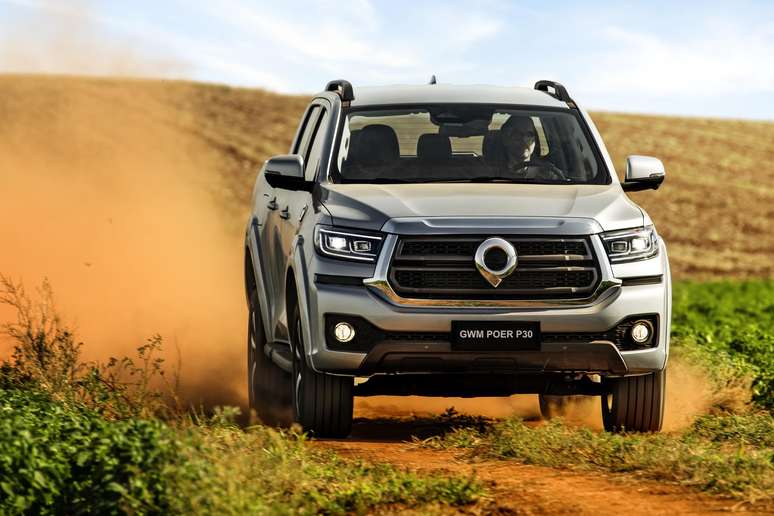 GWM Poer P30