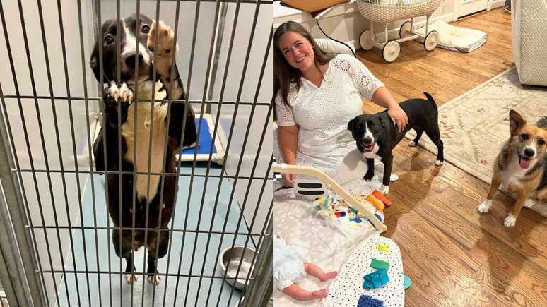 The volunteer adopts a dog who was in line with euthanasia and gives him a family