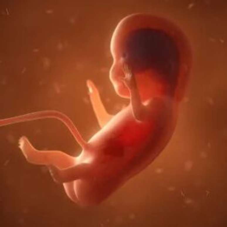 Project that overturns the rules on legal abortion in children victims of progress of the abuses in the Chamber