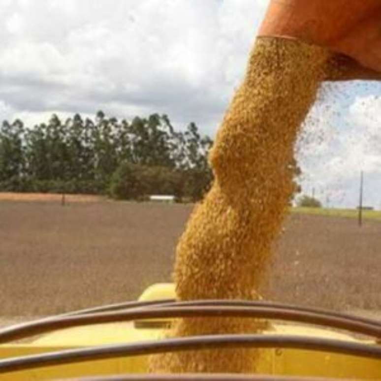 Brazil reaches a new record in the production of cereals with 350 million tons