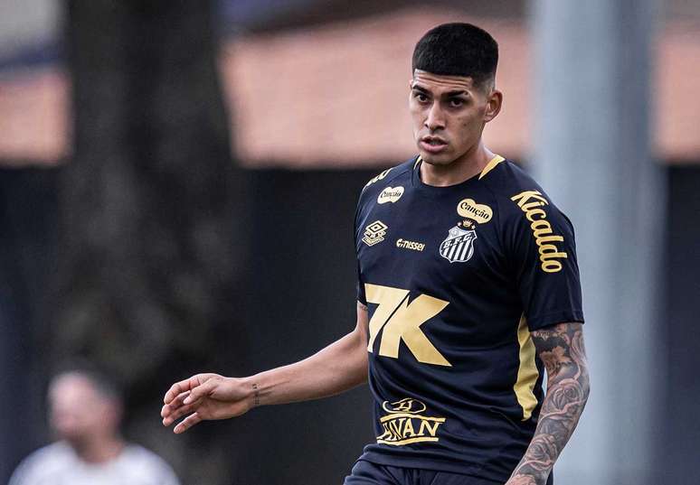 Adon&iacute;s Frias pode fazer sua estreia no Santos neste final de semana &ndash;