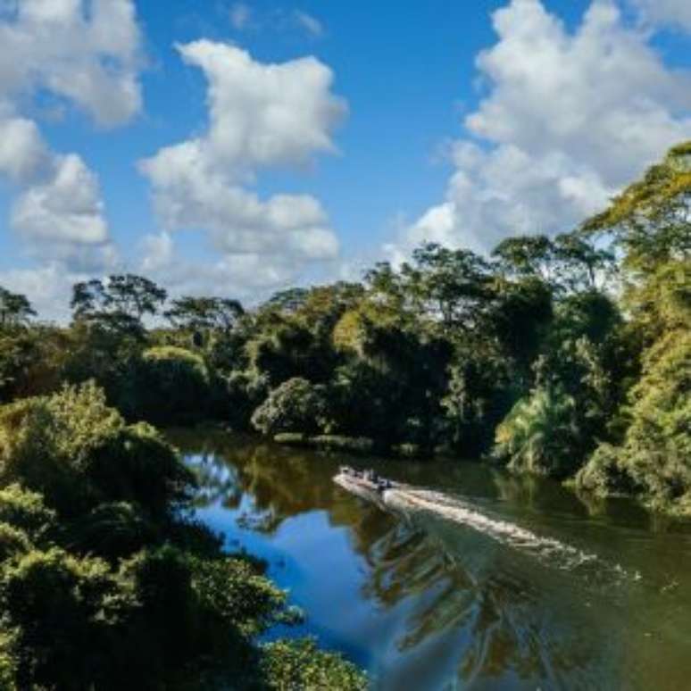 Impactos da mineração na Amazônia podem ser severos.