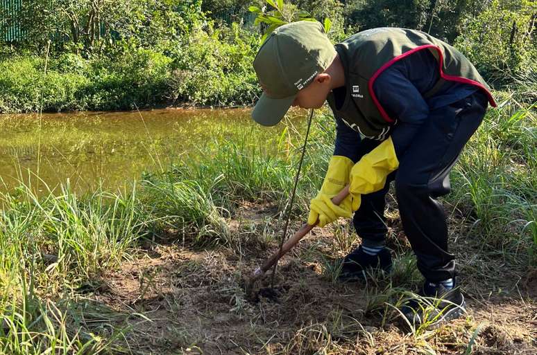 Iniciativa de plantio de árvores em Cubatão foi uma das mudanças implantadas