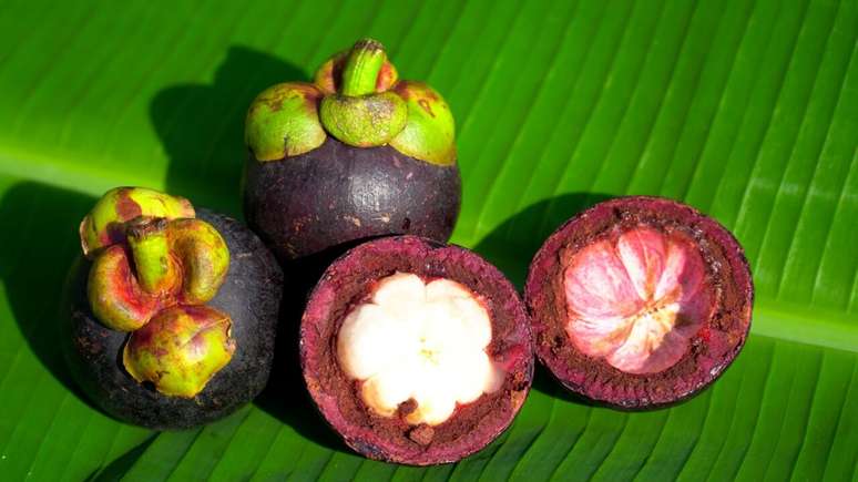 Exotic fruits: the nutritionist explains what they are and their effects on the body