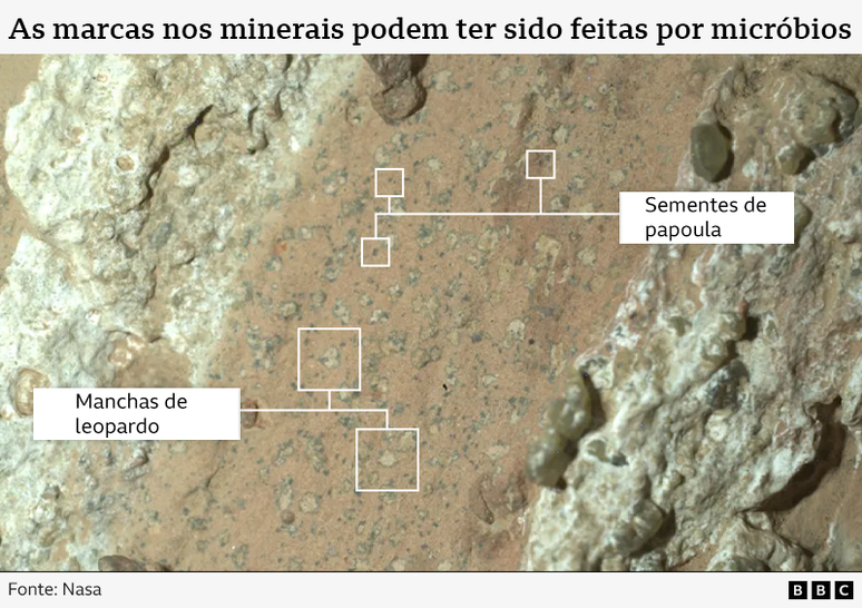 Ilustra&ccedil;&atilde;o mostra uma vista aproximada das rochas encontradas em Marte, com anota&ccedil;&otilde;es indicando as chamadas manchas de leopardo e sementes de papoula