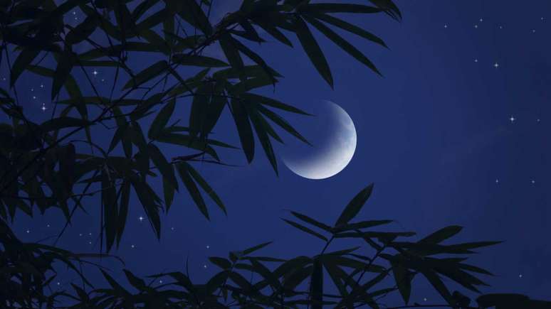 Falling sympathy of the moon to cut the emotional ropes