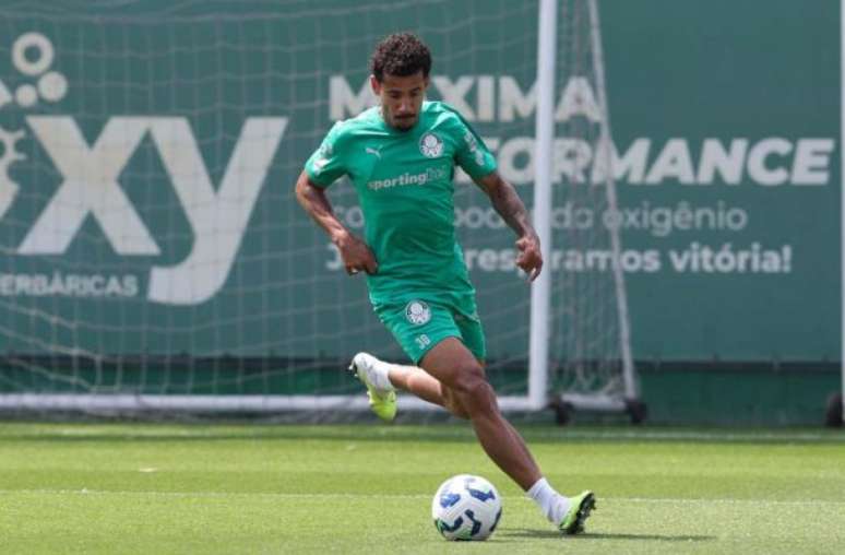 Lucas Evangelista chegou ao Palmeiras nesta temporada &ndash;