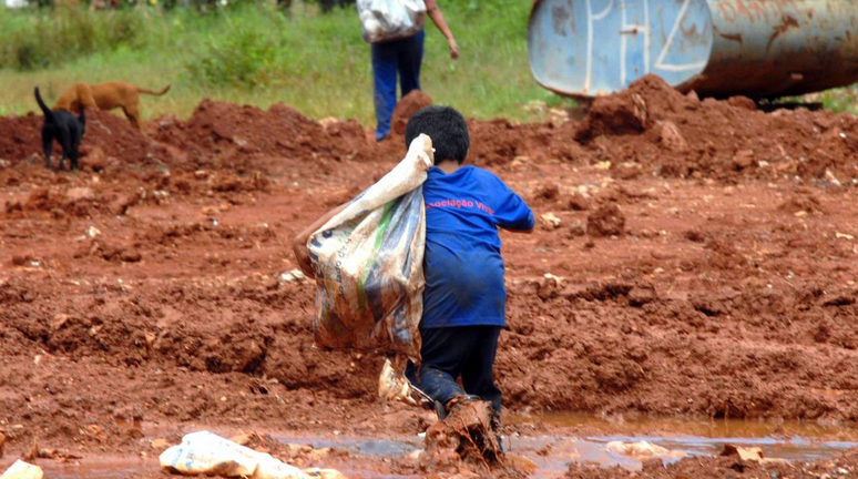 A Pnad mostra que há uma diferença na proporção do tipo de trabalho desenvolvido pelas crianças e adolescentes cujas famílias recebem Bolsa Família