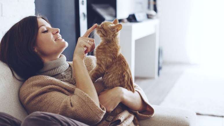 Cats: Knowing the meaning behind the color of the coat