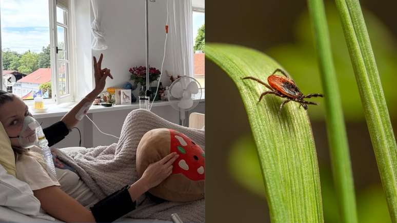 What is Lyme’s disease, who hit Bella Hadid and several famous people?