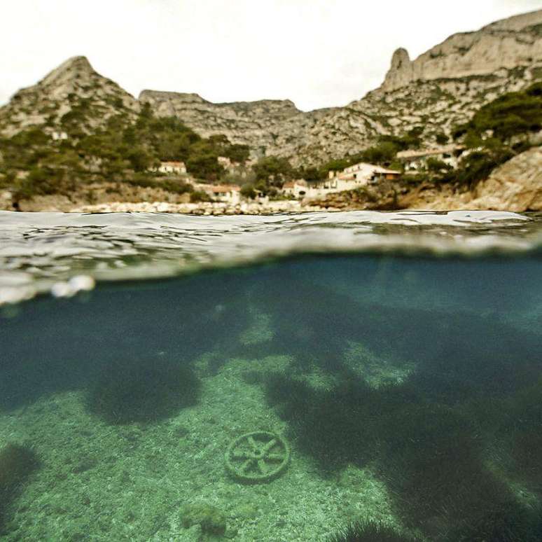 As algas marinhas em todo o mundo est&atilde;o diminuindo devido ao desenvolvimento e &agrave; polui&ccedil;&atilde;o humana
