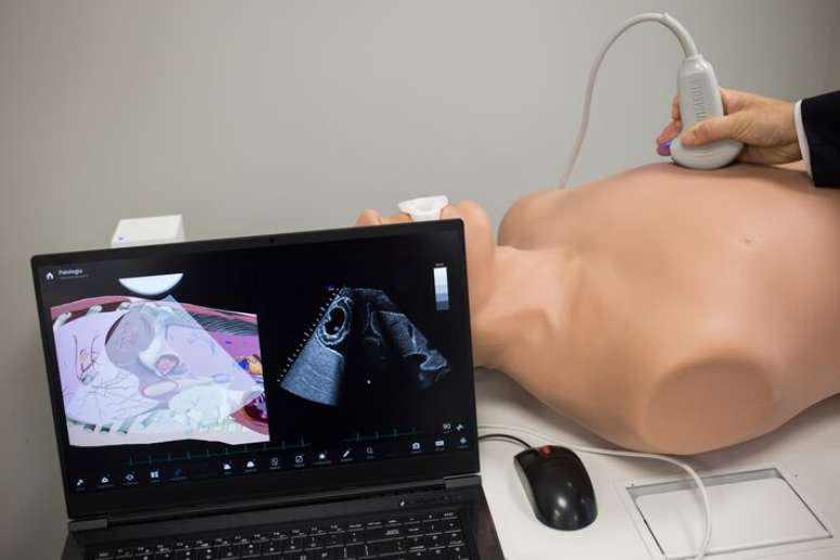 Cursos de Medicina são os mais concorridos do Brasil, principalmente nas universidades públicas.