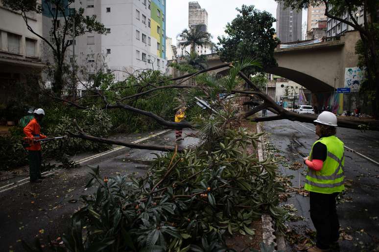 A queda de uma árvore bloqueou parcialmente as duas vias da Avenida 9 de Julho, na altura do Viaduto Major Quedinho, na região central de São Paulo, após o temporal com fortes ventos que atingiu a cidade na tarde desta segunda-feira (22)