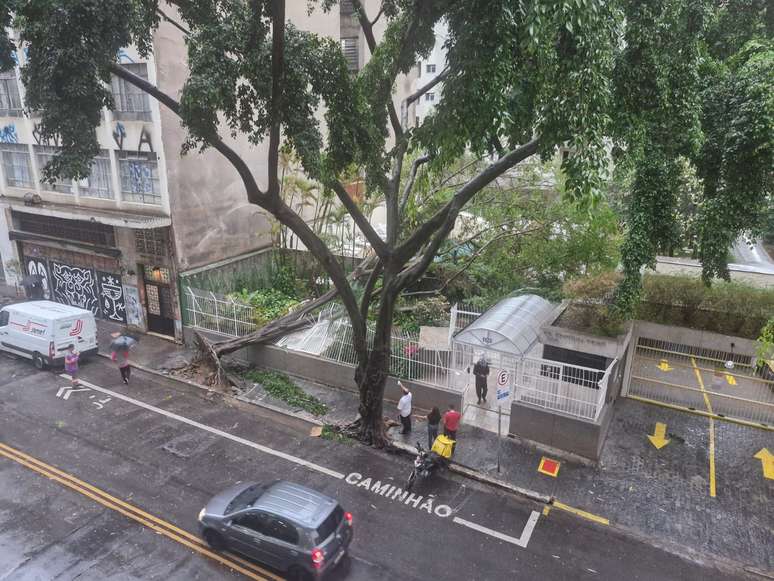 Temporal derruba árvore dentro de prédio no bairro Bela Vista, em São Paulo; 