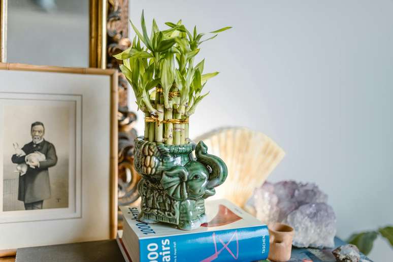 Feng Shui of spring: what to change in the furniture of the house?