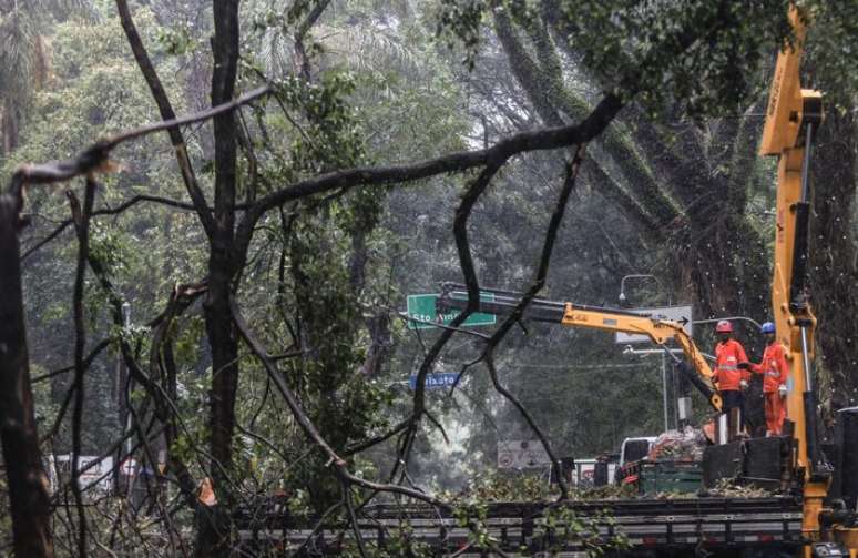 Funcion&aacute;rios da Prefeitura trabalham na retirada de &aacute;rvore que caiu na Alameda Santos, na regi&atilde;o da Paulista.
