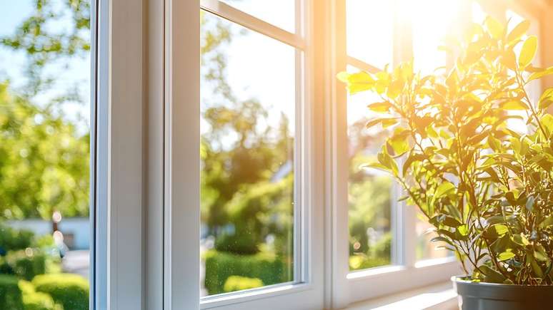 Plantas purificadoras filtram toxinas, liberam oxigênio e deixam a casa mais saudável e harmoniosa; descubra quais espécies escolher