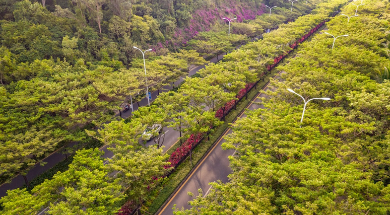 Via Fenghuang: rodovia na província chinesa de Hainan ganhou soluções baseadas na natureza idealizadas por Yu