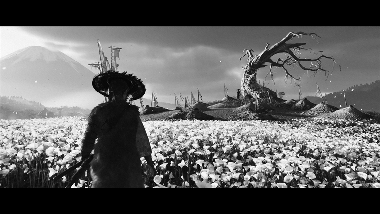 Novos modos oferecem diferentes filtros cinematográficos para curtir a aventura de Atso