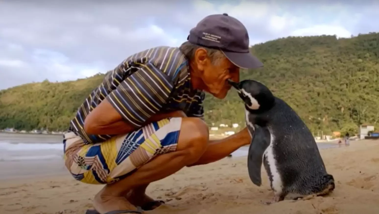 Registro feito de João e Dindim quando animal estava em Ilha Grande Registro feito de João e Dindim quando animal estava em Ilha Grande