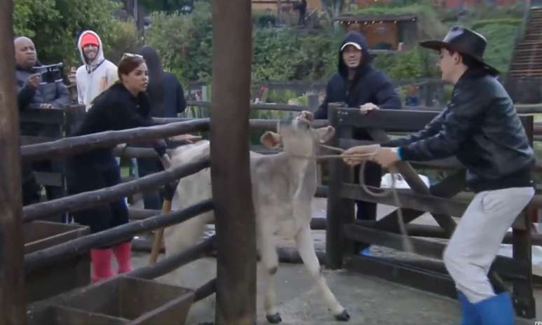 DUDU CAMARGO hangs the calf on the farm and in the Netizen asks for expulsion