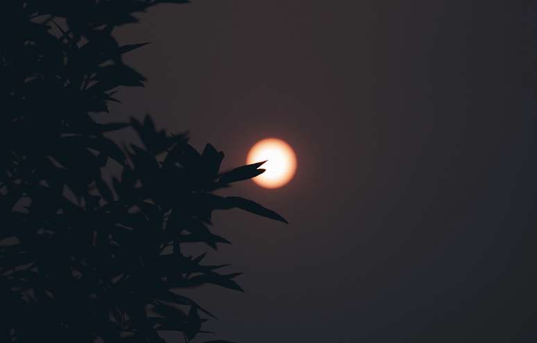 Post-Eclipse Hangover: because we are so tired and how to take care