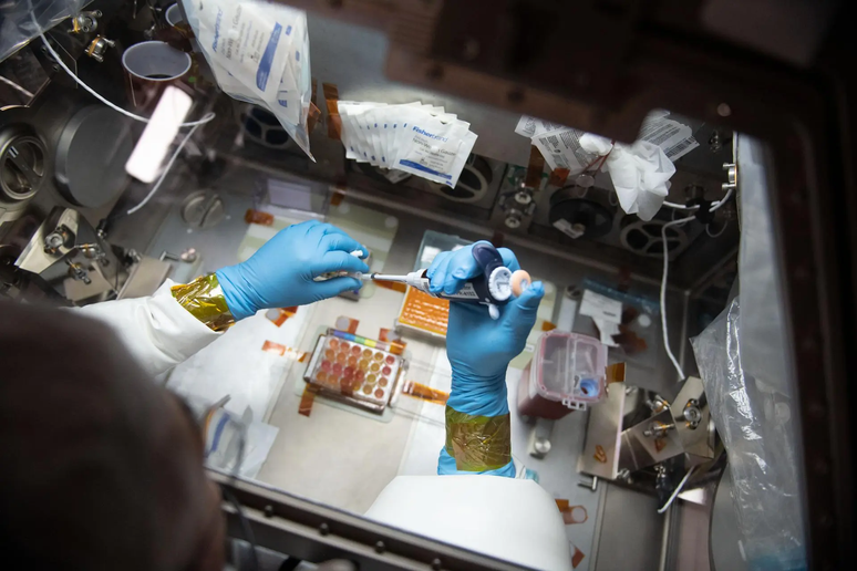 Vista de cima de um cientista usando luvas e jaleco pipetando em uma bancada de trabalho na ISS
