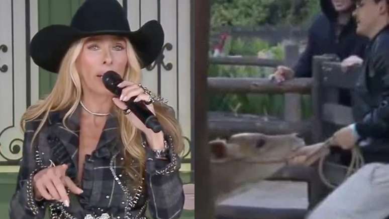 Reprodu&ccedil;&atilde;o/Record