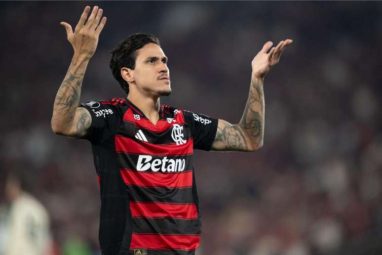 Pedro é um dos artilheiros do Flamengo na temporada
