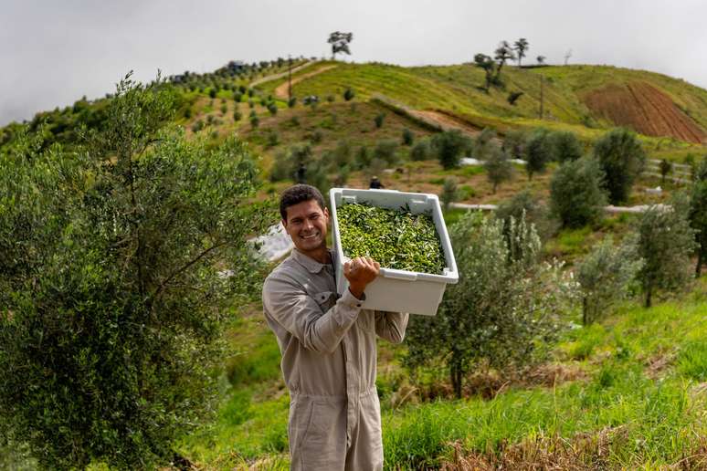 The Brazilian expert explains if it is possible to have a “olive oil 10”