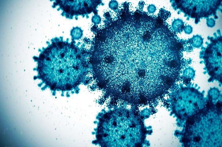 Segundo Esteller, Branyas tinha um sistema imunológico muito forte, defesas que a protegiam com eficiência (foto genérica de um vírus)