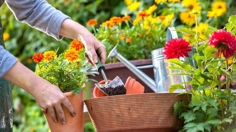 How can gardening be therapeutic and reduce anxiety symptoms?