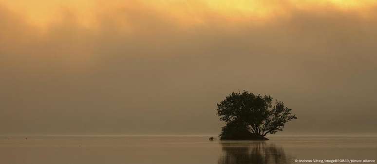 Perda de biodiversidade e declínio dos ecossistemas devem continuar na Europa, diz relatório da AEA
