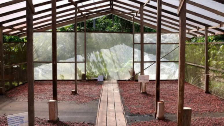 Dona Nena, na fábrica de chocolate Filha do Combu, a casa do chocolate da Dona Nena (Izete Costa), na Ilha do Combu, no Pará