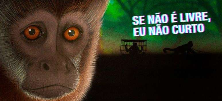 Slogan de campanha do Ibama contra o tr&aacute;fico de animais e a exibi&ccedil;&atilde;o de animais silvestres em redes sociais