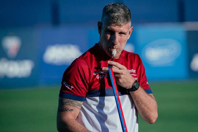 Palermo venceu dois dos três jogos em que comandou o Leão –