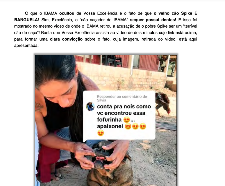 C&atilde;o que teria capturado a jaguatirica &eacute; banguela, diz advogado de Luciene Candido