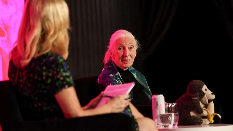 Jane Goodall, hoje com 91 anos, mantém um instituto que leva seu nome e participa de eventos em várias partes do mundo, ao lado de seu macaco de pelúcia, o Sr. H