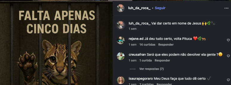 Luciene divulga contagem regressiva para devolu&ccedil;&atilde;o de animal em sua conta no Instagram