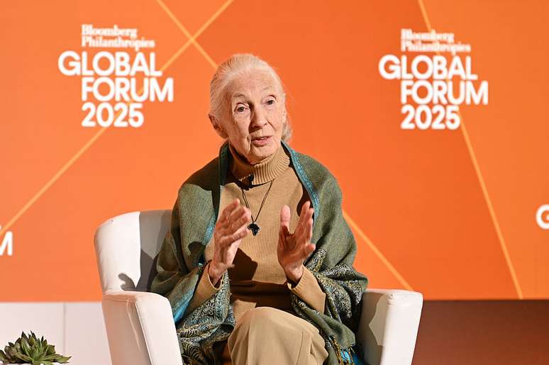 Jane Goodall durante palestra neste ano