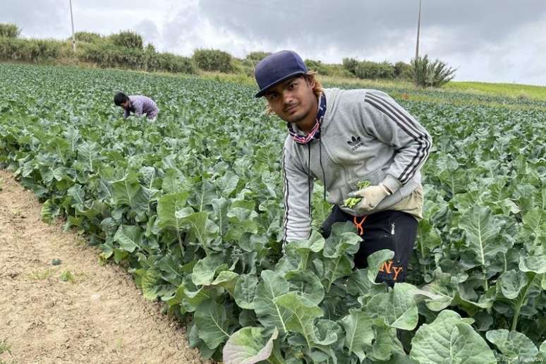 Analistas estimam que regras impactar&atilde;o economia do pa&iacute;s, dependente de m&atilde;o de obra estrangeira