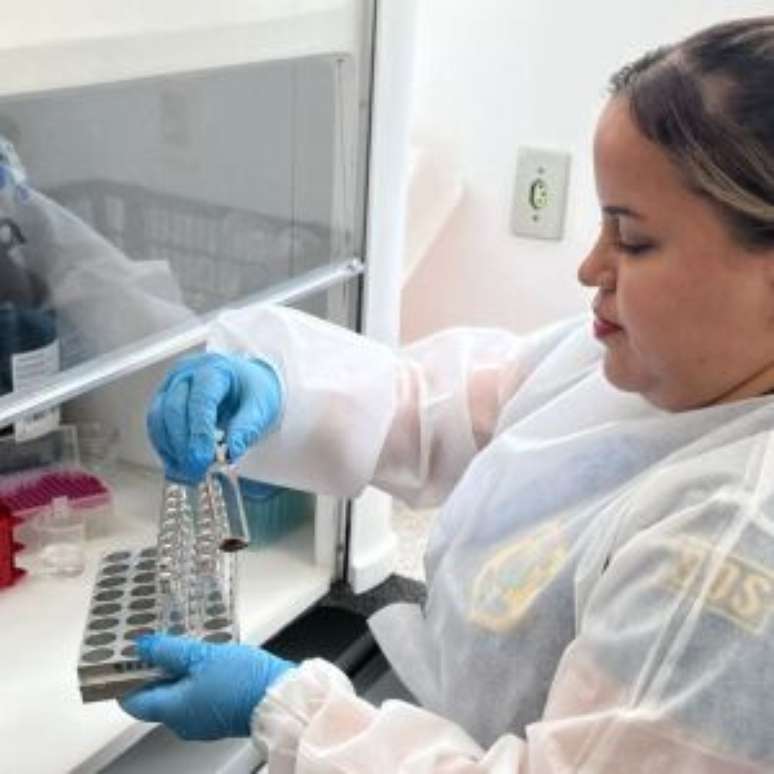 Agente da SDS com amostra de metanol.