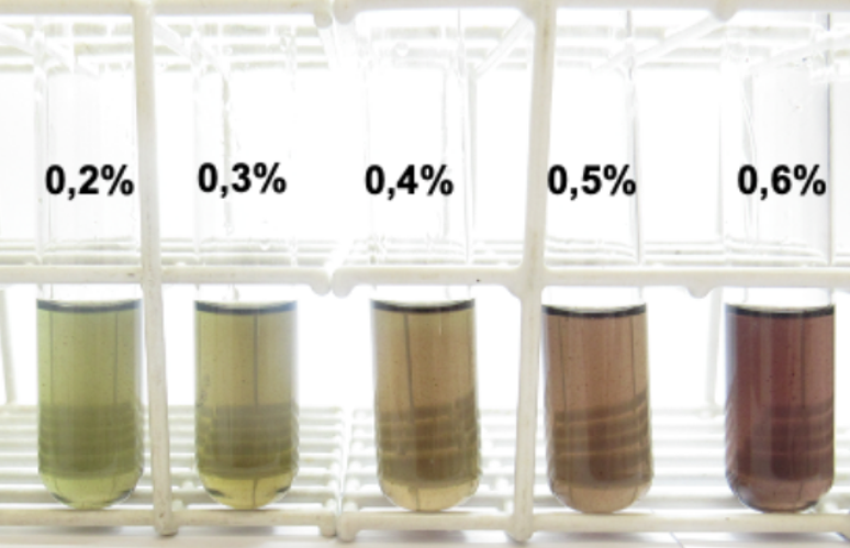 The rapid test can identify the presence of methanol in adulterated drinks for color change