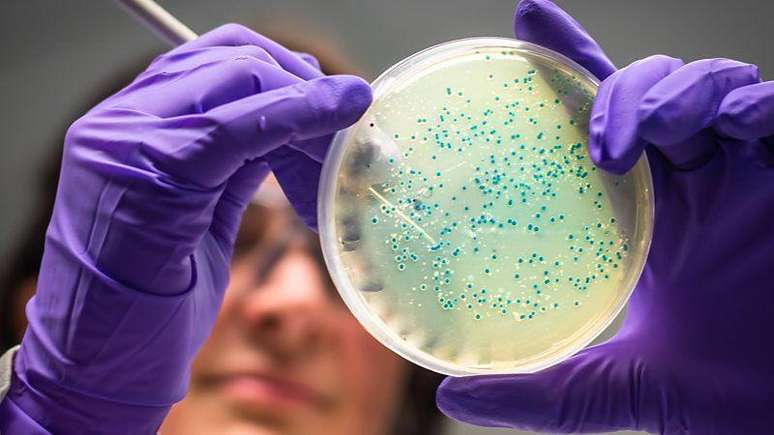Se for possível ajustar ou mesmo substituir a microbiota de pacientes com problemas crônicos do sono, pode surgir uma nova forma de tratamento