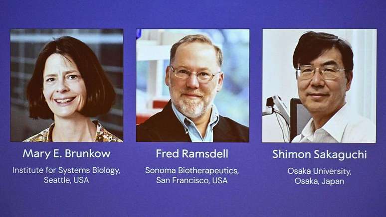 Cells that are “security agents” of the immune system and have produced the Nobel Medicine of 2025