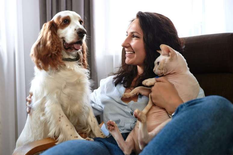 Os primeiros encontros entre o gato e o cachorro devem ser supervisionados 