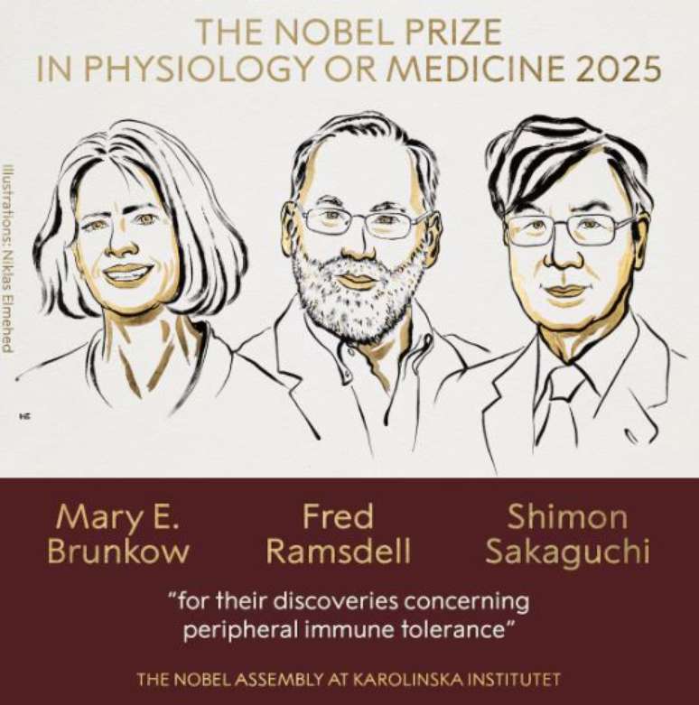 Nobel Medicine Awards scientists who have exploited research against cancer and autoimmune diseases