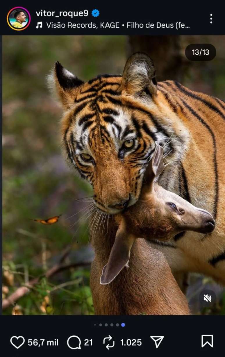Vitor Roque faz postagem de teor homofóbico após vitória sobre o São Paulo