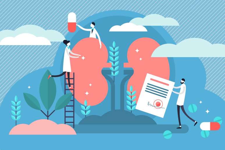 Cuidar da saúde dos rins no dia a dia é fundamental para evitar o câncer renal