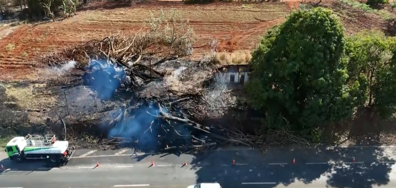 Árvore em chamas caiu em carro que Raphael Bellarmino estava com a esposa